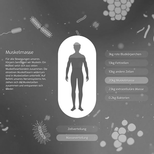 Startbildschirm der Medienstation Bakterienwaage, interaktive Waage mit Touchscreen im LWL Museum für Naturkunde Münster