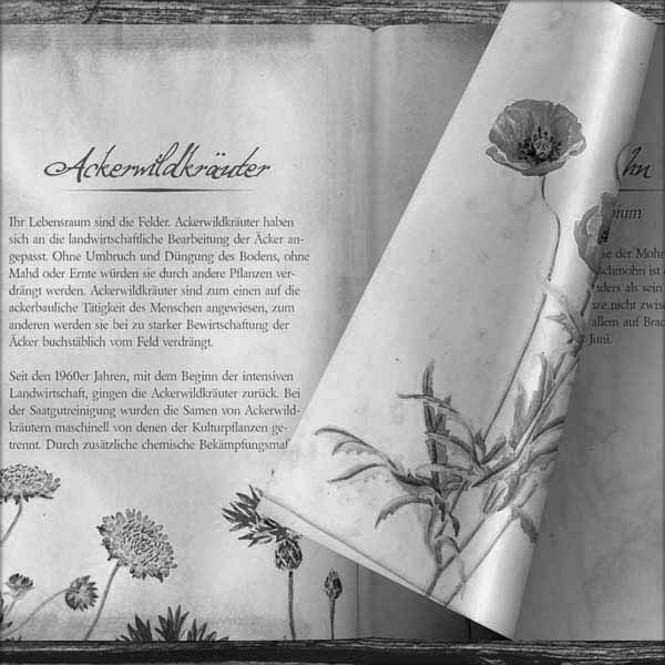 Medienstation Herbarium, blätterbares Herbarium im LWL Museum für Naturkunde Münster